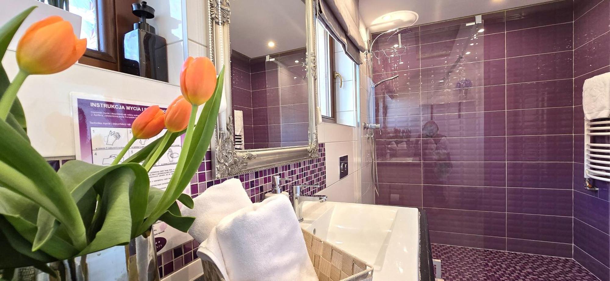 Vip Apartamenty Widokowe Zakopane Ngoại thất bức ảnh